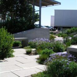 Alternative view of Cut Stone Pavers