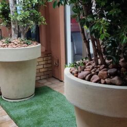 Alternative view of THE ST. TROPEZ