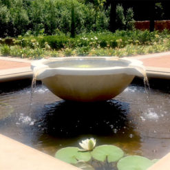 Water Features