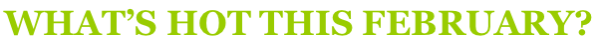 news-flash-feature