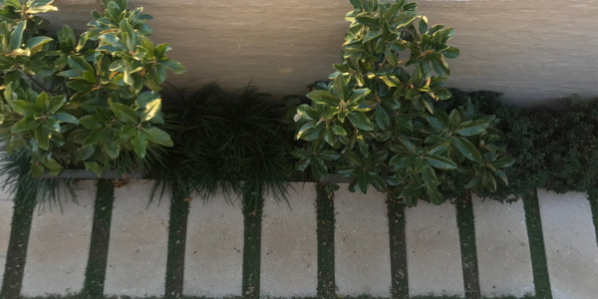pathways-feature-image